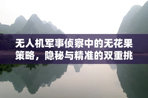 无人机军事侦察中的无花果策略，隐秘与精准的双重挑战