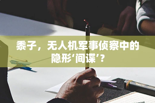 黍子，无人机军事侦察中的隐形‘间谍’？