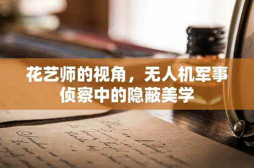 花艺师的视角，无人机军事侦察中的隐蔽美学