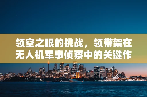 领空之眼的挑战，领带架在无人机军事侦察中的关键作用