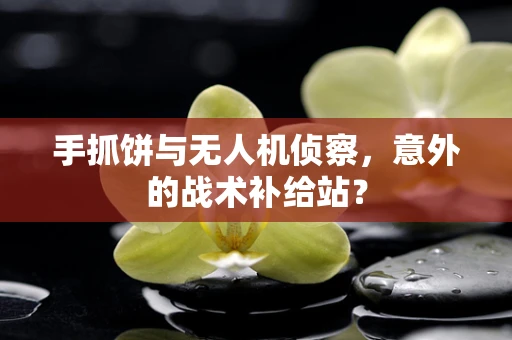 手抓饼与无人机侦察，意外的战术补给站？