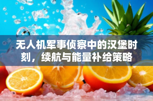 无人机军事侦察中的汉堡时刻，续航与能量补给策略