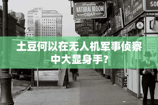 土豆何以在无人机军事侦察中大显身手？