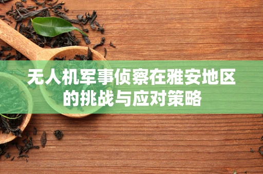 无人机军事侦察在雅安地区的挑战与应对策略