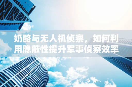 奶酪与无人机侦察，如何利用隐蔽性提升军事侦察效率？