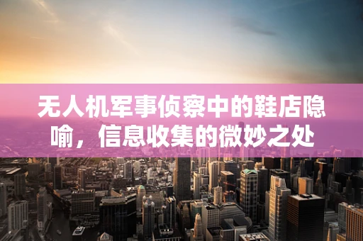 无人机军事侦察中的鞋店隐喻，信息收集的微妙之处