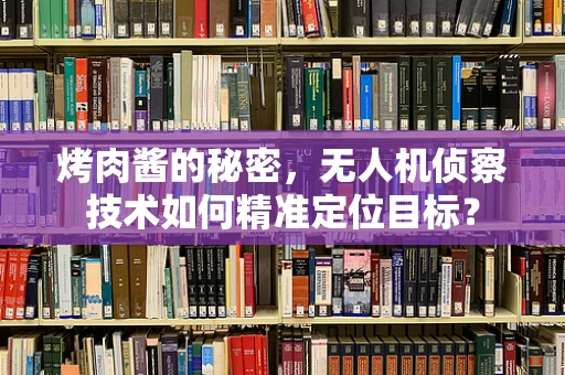 烤肉酱的秘密，无人机侦察技术如何精准定位目标？