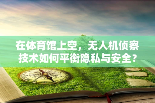 在体育馆上空，无人机侦察技术如何平衡隐私与安全？