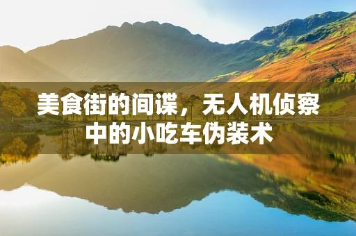 美食街的间谍，无人机侦察中的小吃车伪装术