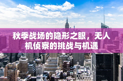 秋季战场的隐形之眼，无人机侦察的挑战与机遇