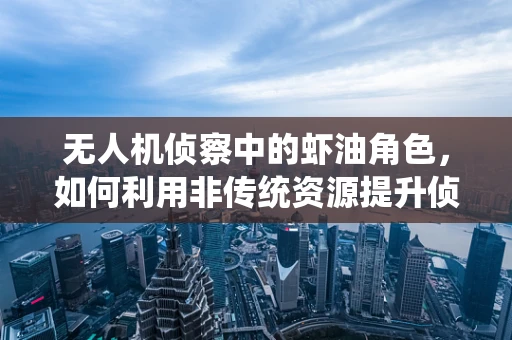 无人机侦察中的虾油角色，如何利用非传统资源提升侦察效能？