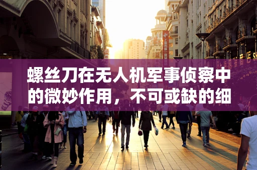 螺丝刀在无人机军事侦察中的微妙作用，不可或缺的细节维护者？