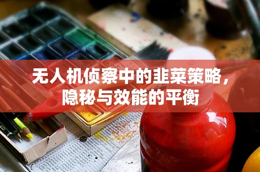 无人机侦察中的韭菜策略，隐秘与效能的平衡