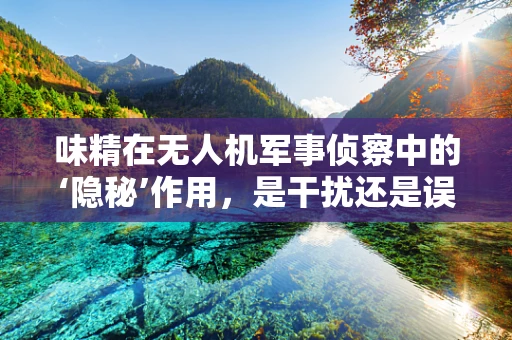 味精在无人机军事侦察中的‘隐秘’作用，是干扰还是误导？