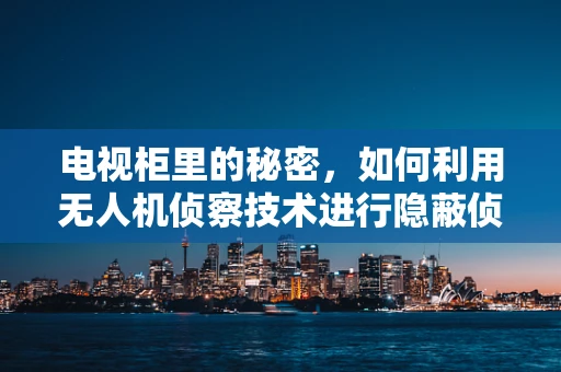 电视柜里的秘密，如何利用无人机侦察技术进行隐蔽侦察？