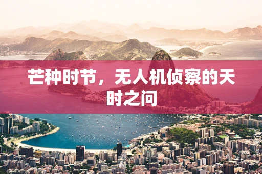 芒种时节，无人机侦察的天时之问