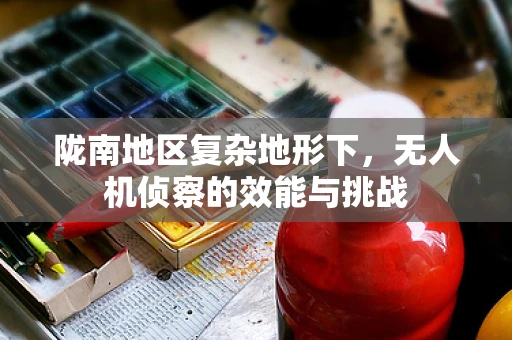 陇南地区复杂地形下，无人机侦察的效能与挑战