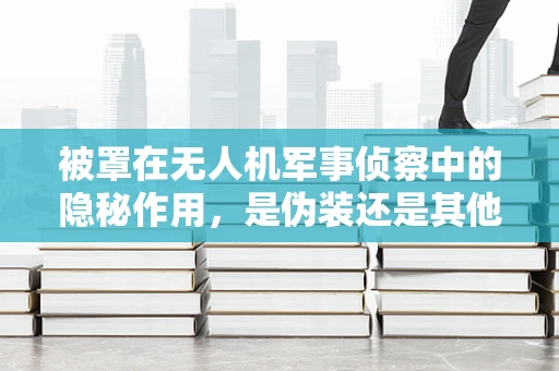 被罩在无人机军事侦察中的隐秘作用，是伪装还是其他？