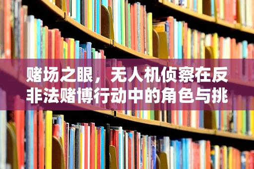 赌场之眼，无人机侦察在反非法赌博行动中的角色与挑战