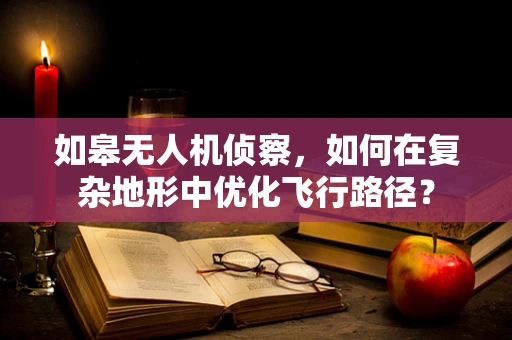 如皋无人机侦察，如何在复杂地形中优化飞行路径？