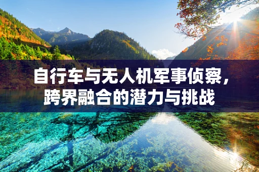 自行车与无人机军事侦察，跨界融合的潜力与挑战