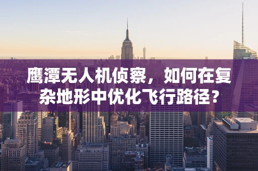 鹰潭无人机侦察，如何在复杂地形中优化飞行路径？