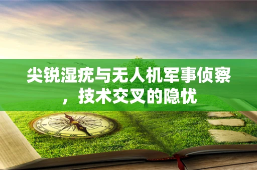 尖锐湿疣与无人机军事侦察，技术交叉的隐忧