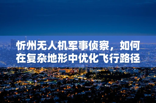 忻州无人机军事侦察，如何在复杂地形中优化飞行路径？