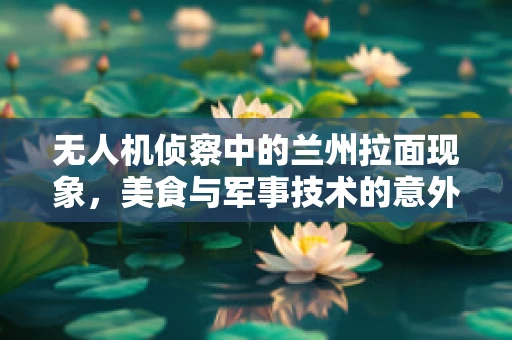 无人机侦察中的兰州拉面现象，美食与军事技术的意外交集？