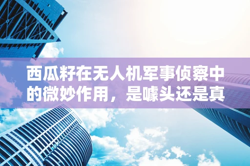 西瓜籽在无人机军事侦察中的微妙作用，是噱头还是真创新？