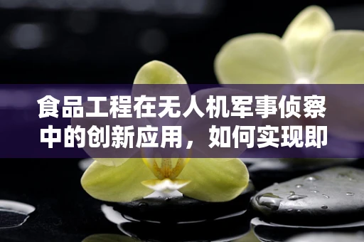 食品工程在无人机军事侦察中的创新应用，如何实现即时食物补给与安全监控？