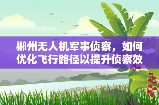 郴州无人机军事侦察，如何优化飞行路径以提升侦察效率？