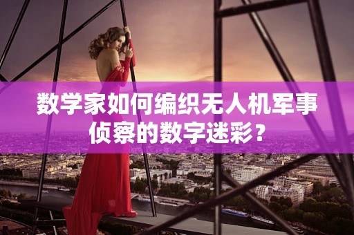 数学家如何编织无人机军事侦察的数字迷彩？