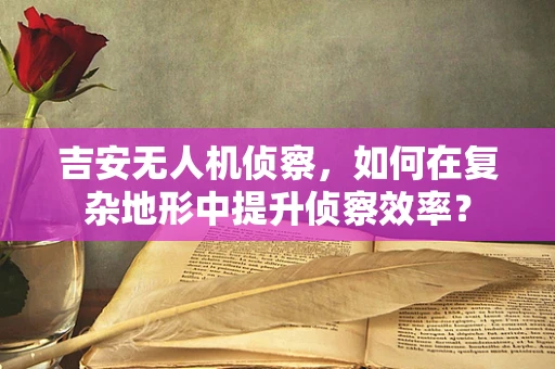 吉安无人机侦察，如何在复杂地形中提升侦察效率？