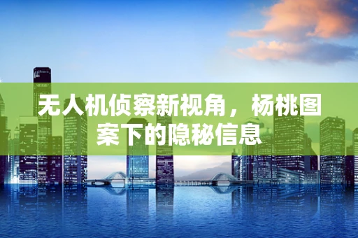 无人机侦察新视角，杨桃图案下的隐秘信息