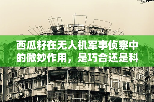 西瓜籽在无人机军事侦察中的微妙作用，是巧合还是科技新突破？