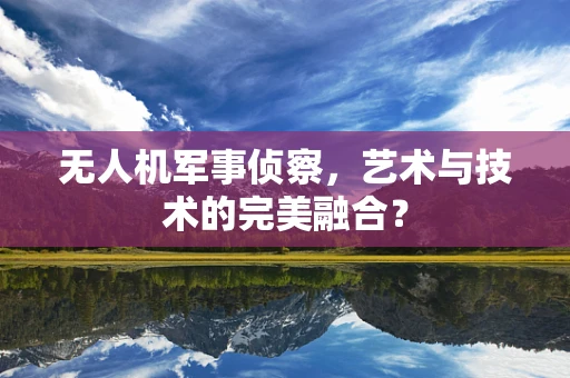 无人机军事侦察，艺术与技术的完美融合？
