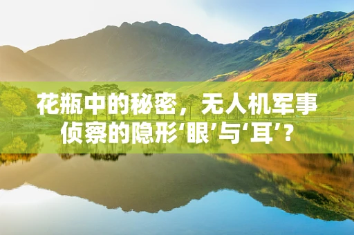 花瓶中的秘密，无人机军事侦察的隐形‘眼’与‘耳’？