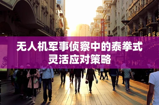 无人机军事侦察中的泰拳式灵活应对策略