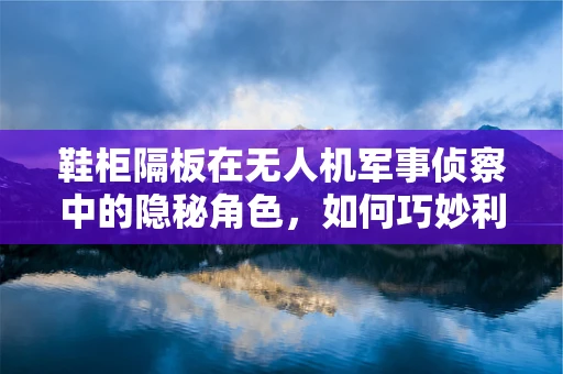 鞋柜隔板在无人机军事侦察中的隐秘角色，如何巧妙利用微小空间进行隐蔽部署？