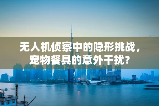 无人机侦察中的隐形挑战，宠物餐具的意外干扰？