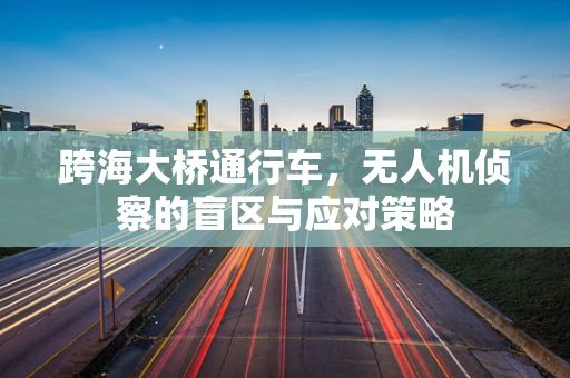 跨海大桥通行车，无人机侦察的盲区与应对策略
