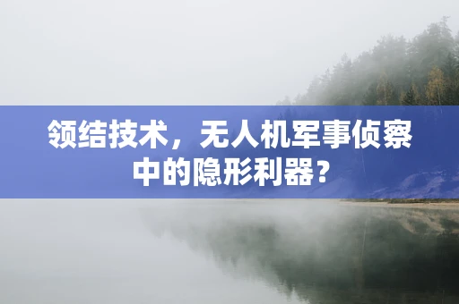 领结技术，无人机军事侦察中的隐形利器？
