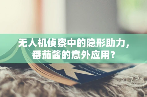 无人机侦察中的隐形助力，番茄酱的意外应用？