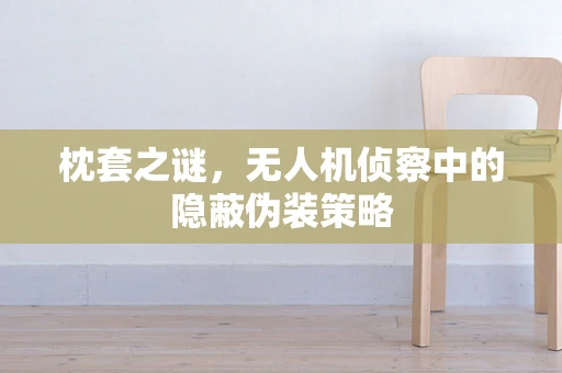 枕套之谜，无人机侦察中的隐蔽伪装策略