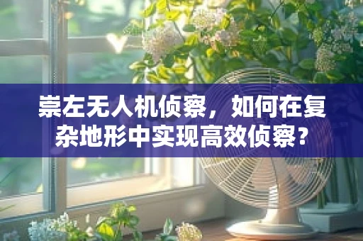 崇左无人机侦察，如何在复杂地形中实现高效侦察？