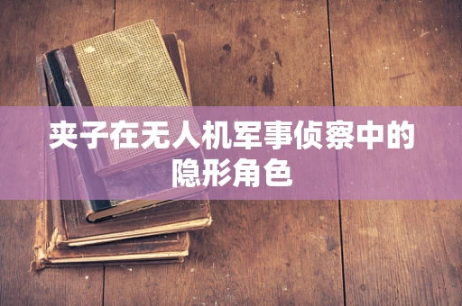 夹子在无人机军事侦察中的隐形角色