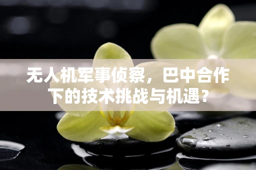 无人机军事侦察，巴中合作下的技术挑战与机遇？