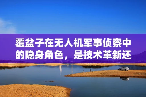 覆盆子在无人机军事侦察中的隐身角色，是技术革新还是战术误导？