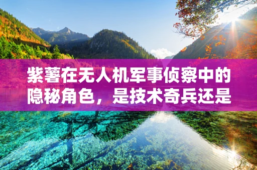 紫薯在无人机军事侦察中的隐秘角色，是技术奇兵还是噱头？